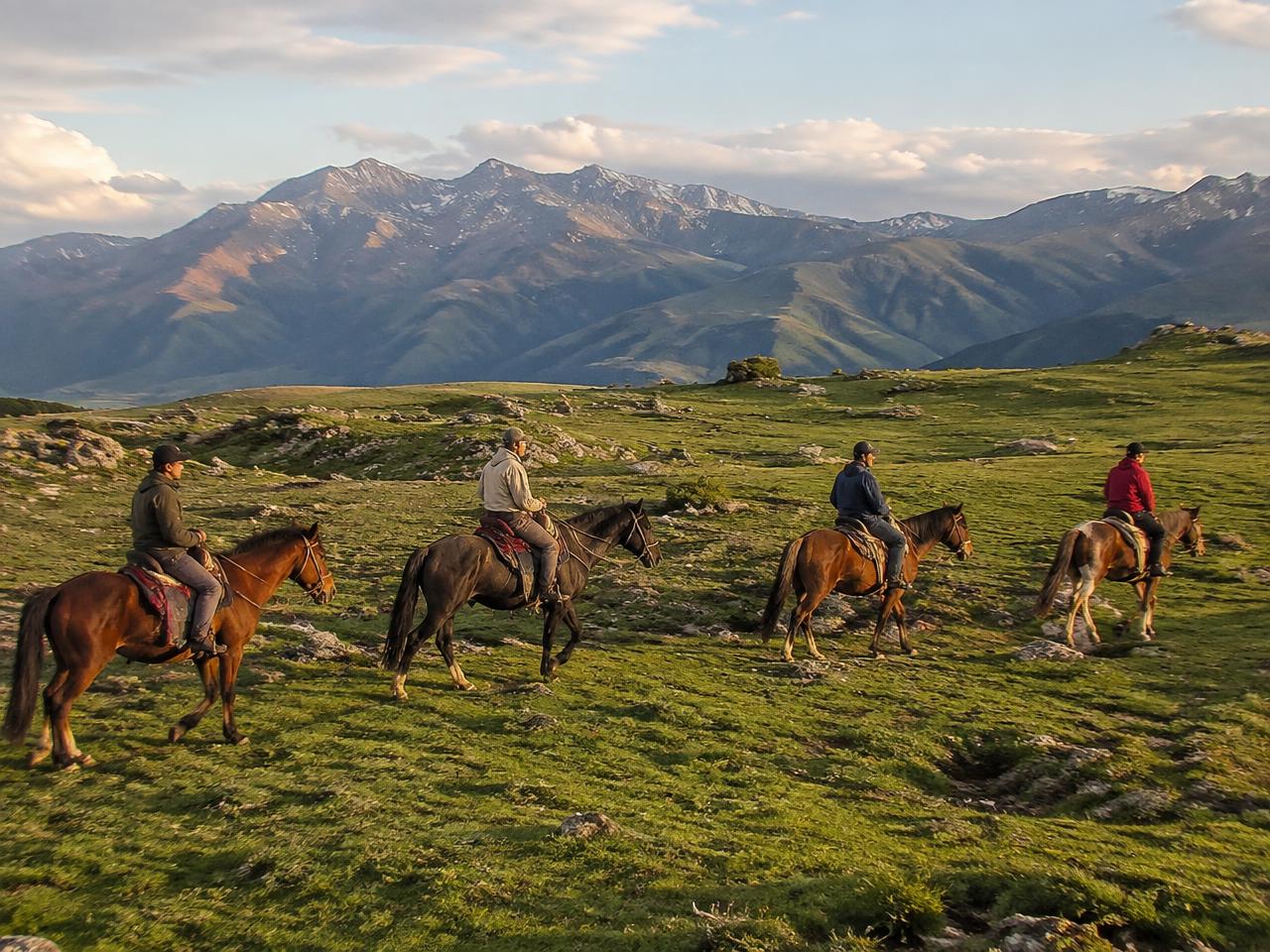 Horse Riding